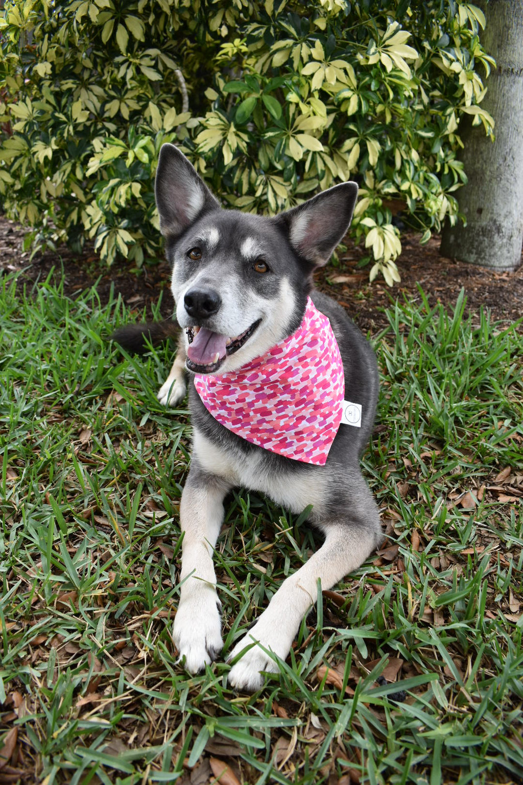 Pink Paint Strokes Bandana