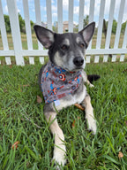 Shield Bandana