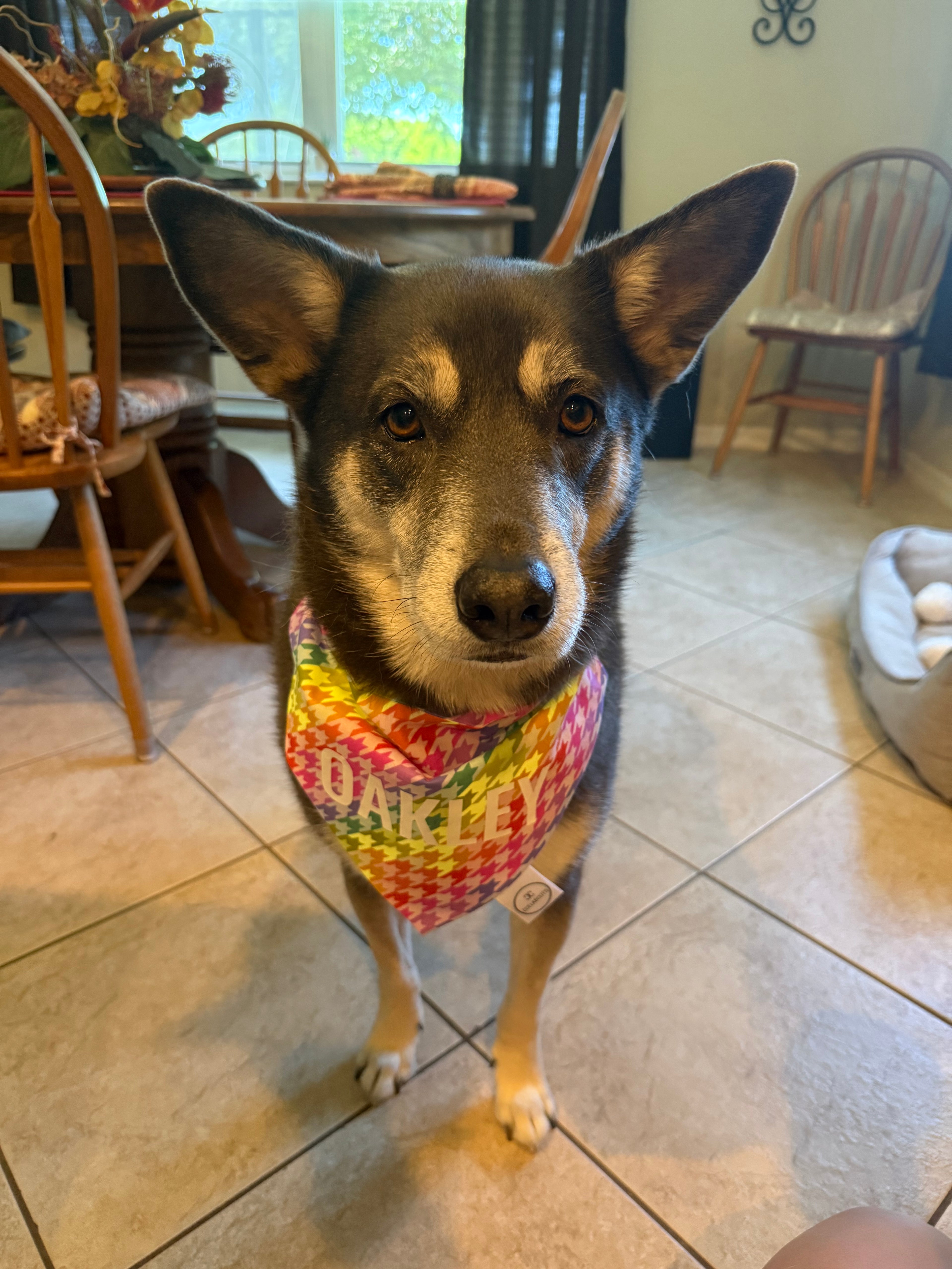 Rainbow Houndstooth Bandana