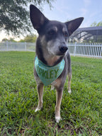 Margaritas Bandana