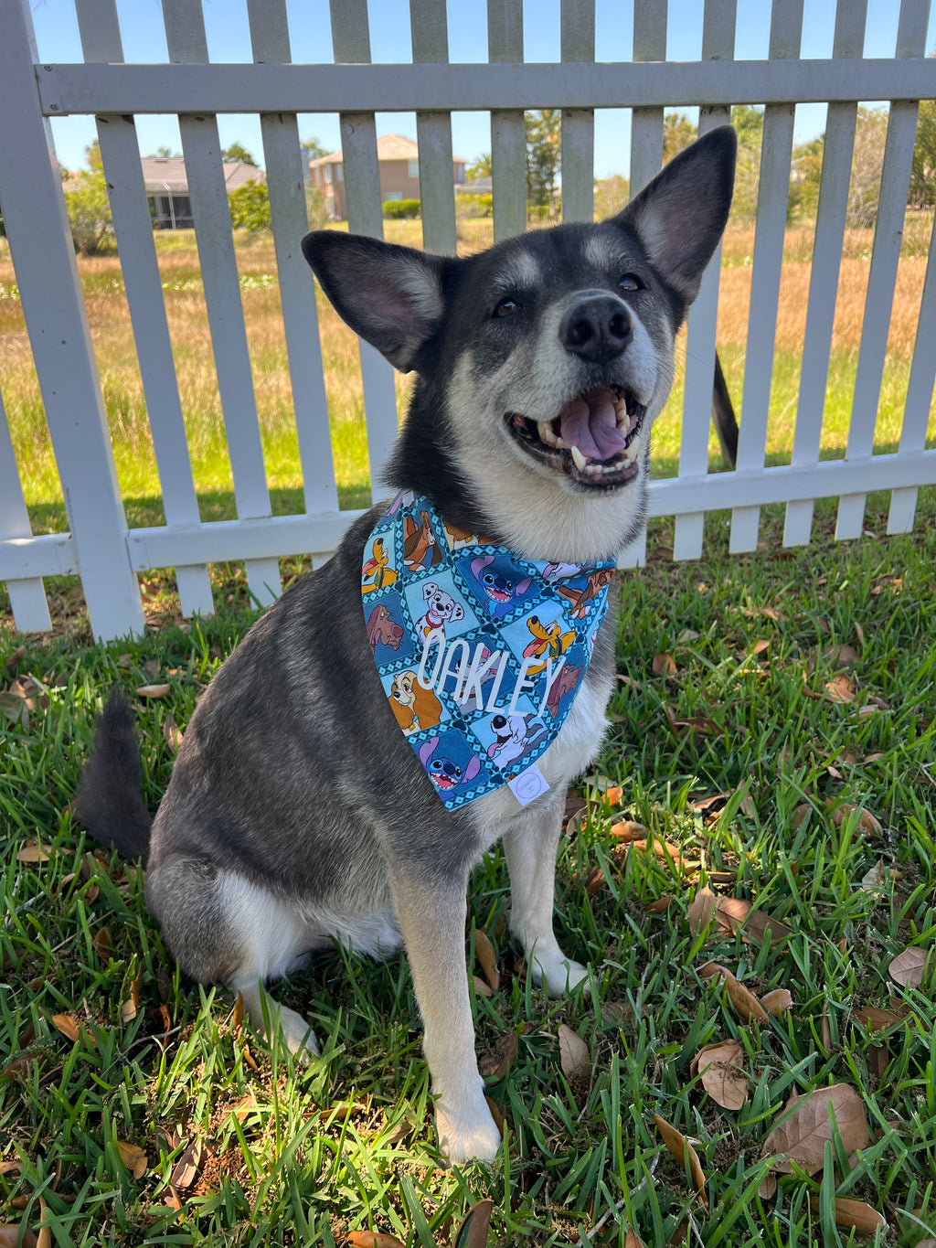 Magical Dogs Bandana