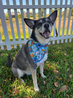 Magical Dogs Bandana