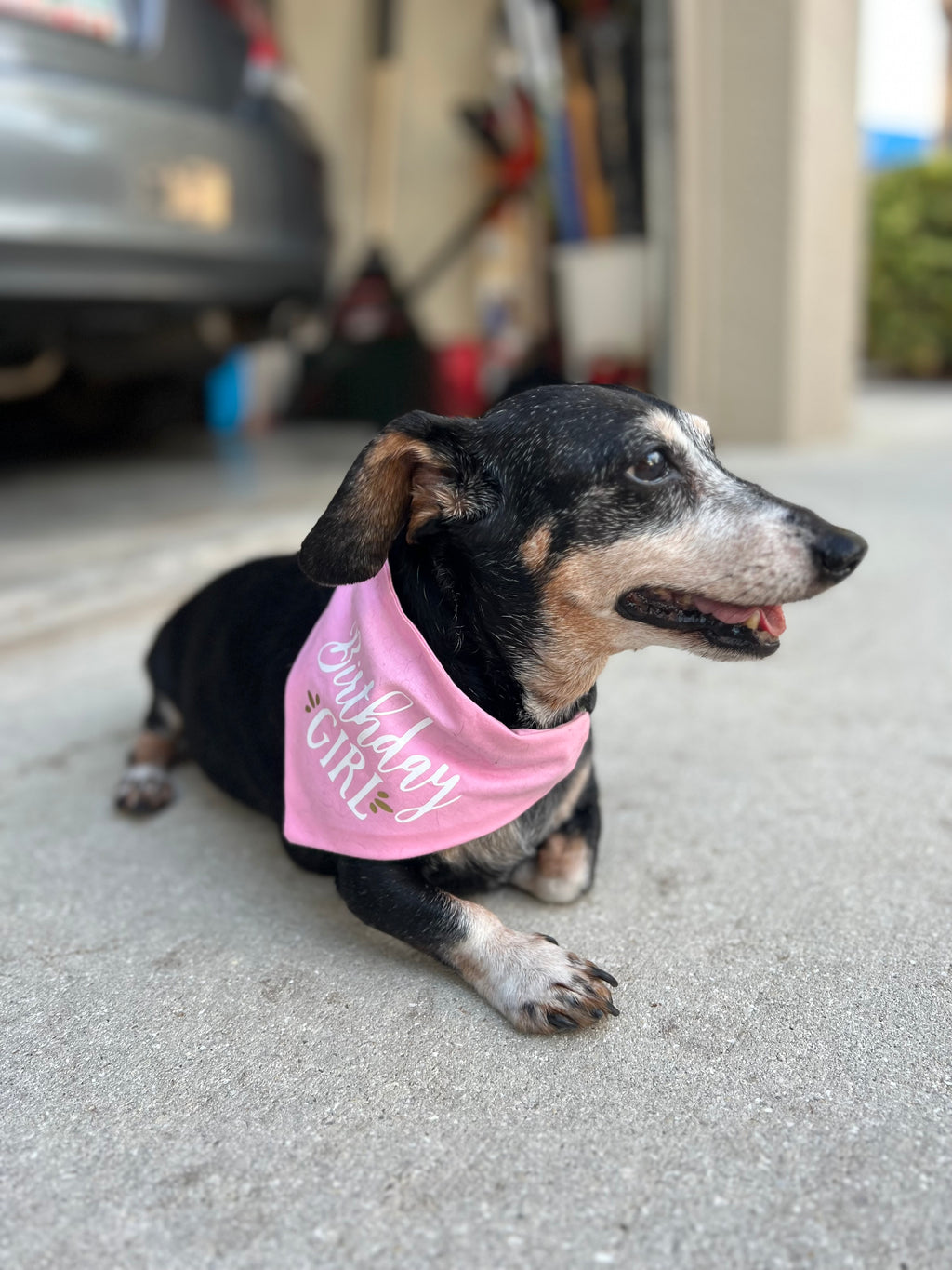 Custom Design Bandana