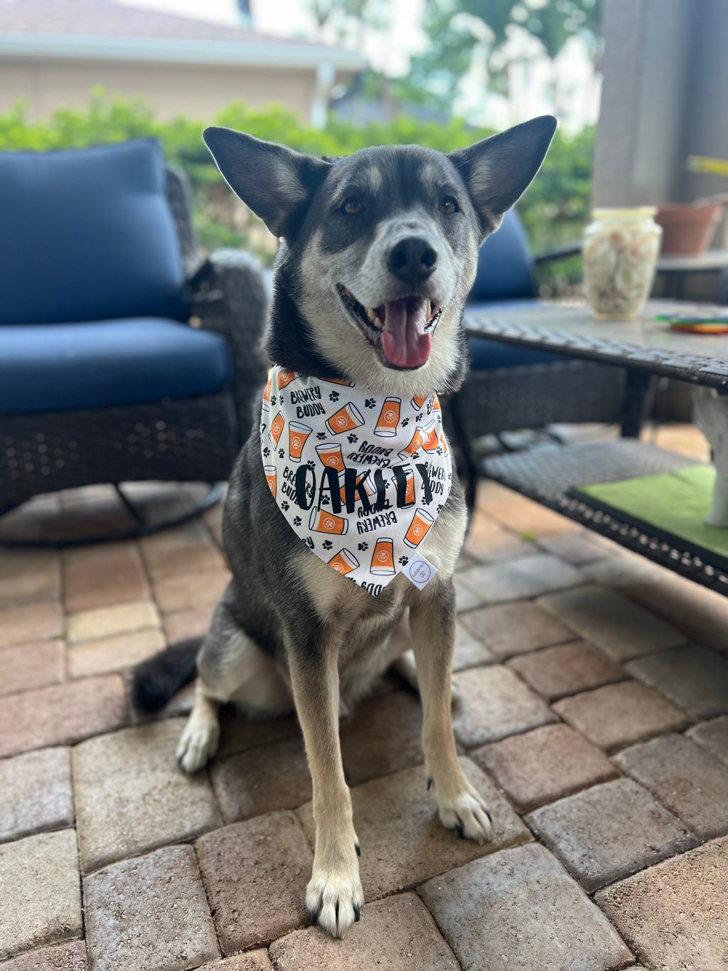 Brewery Buddy Bandana