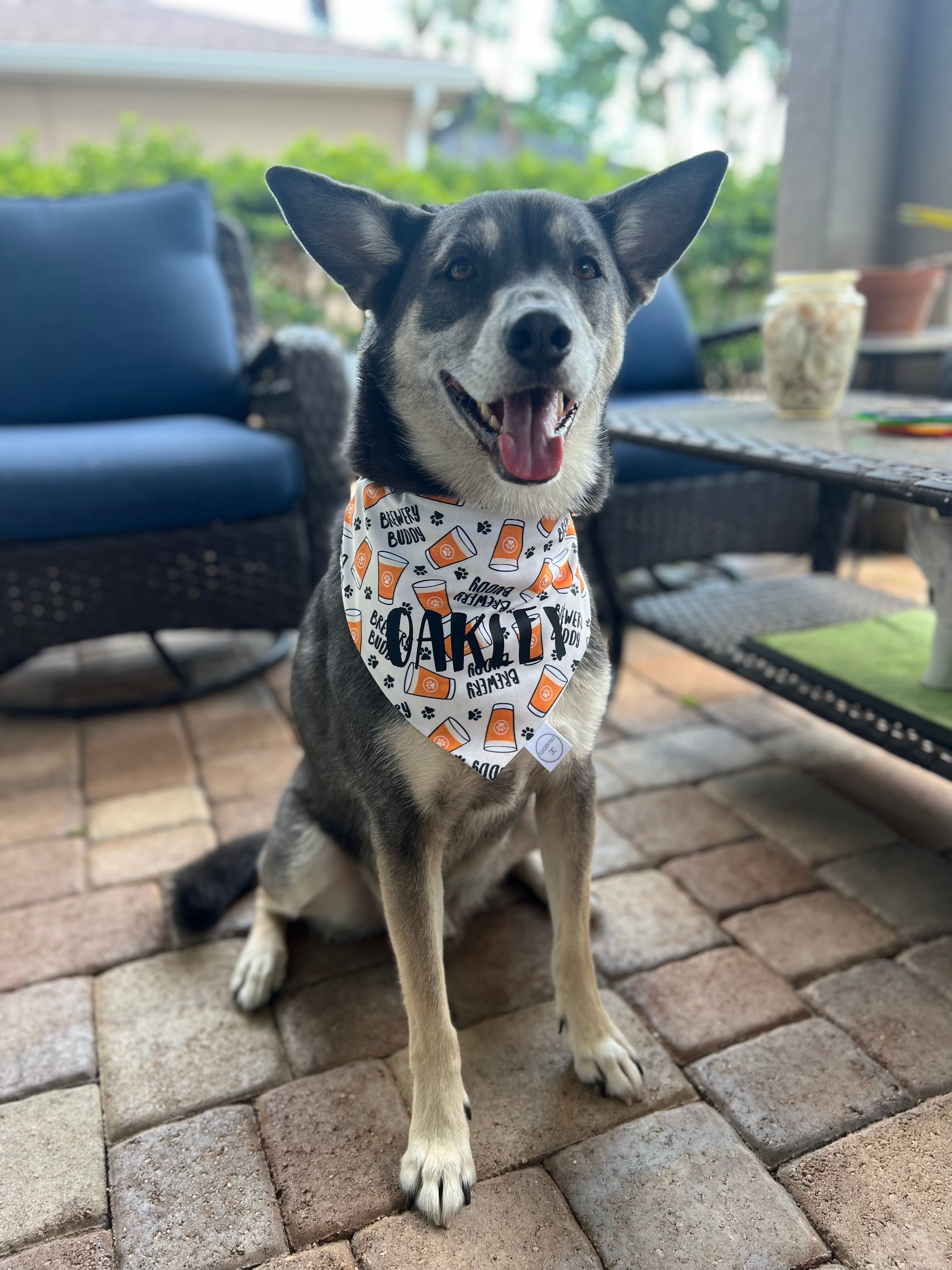 Brewery Buddy Bandana