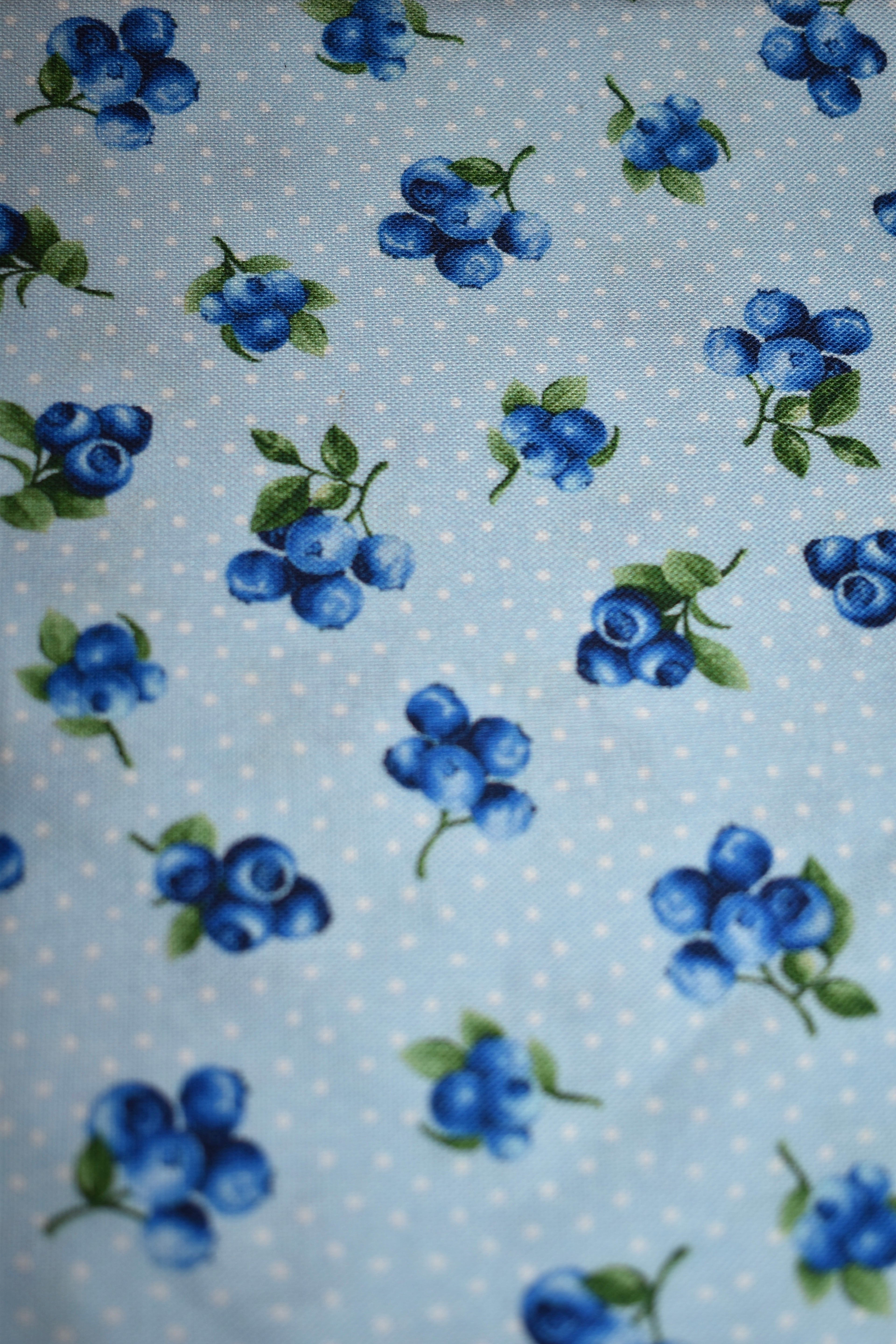 Blueberries Bandana