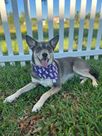 Mummy Dogs Bandana
