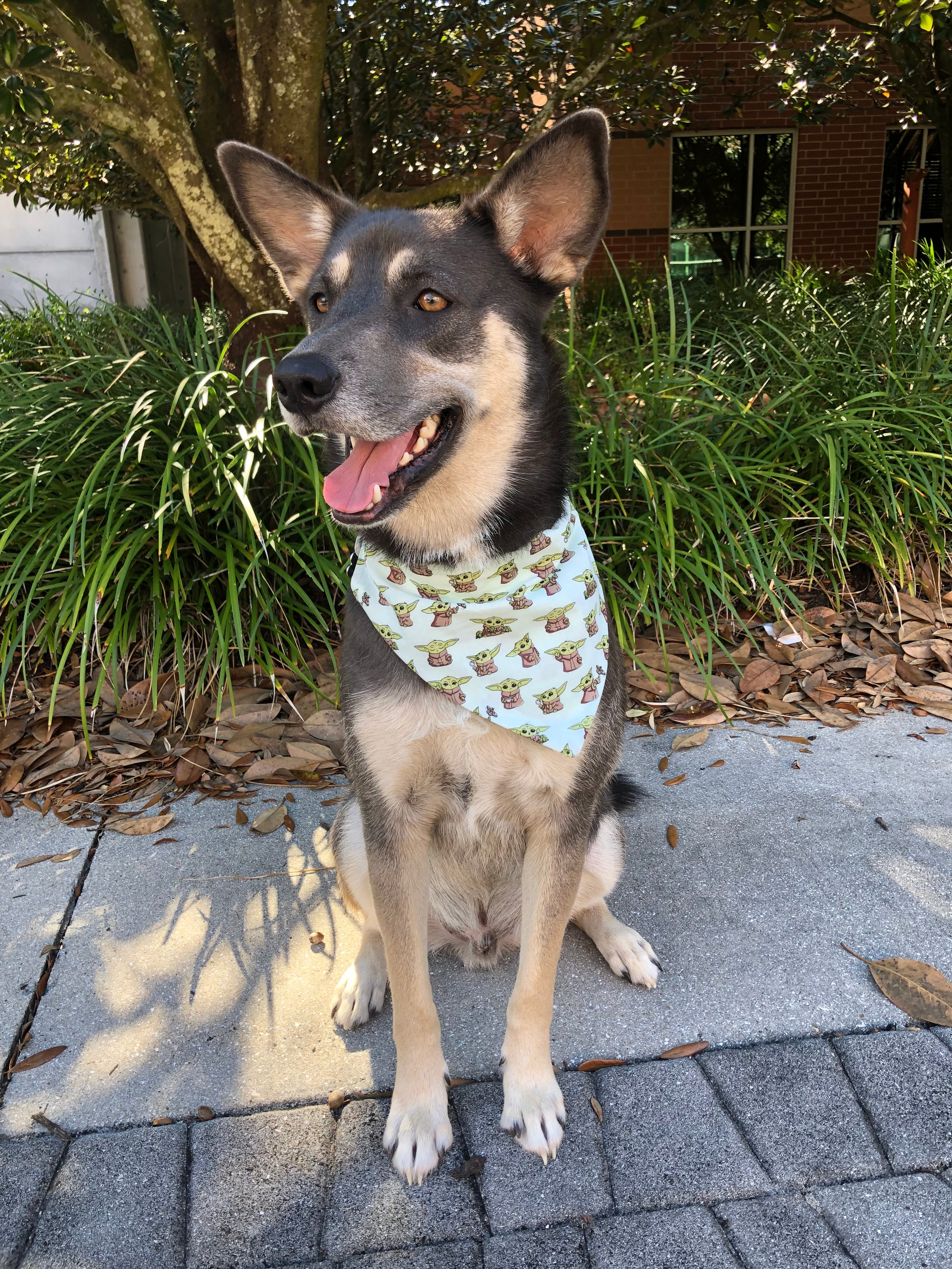 The Child Bandana