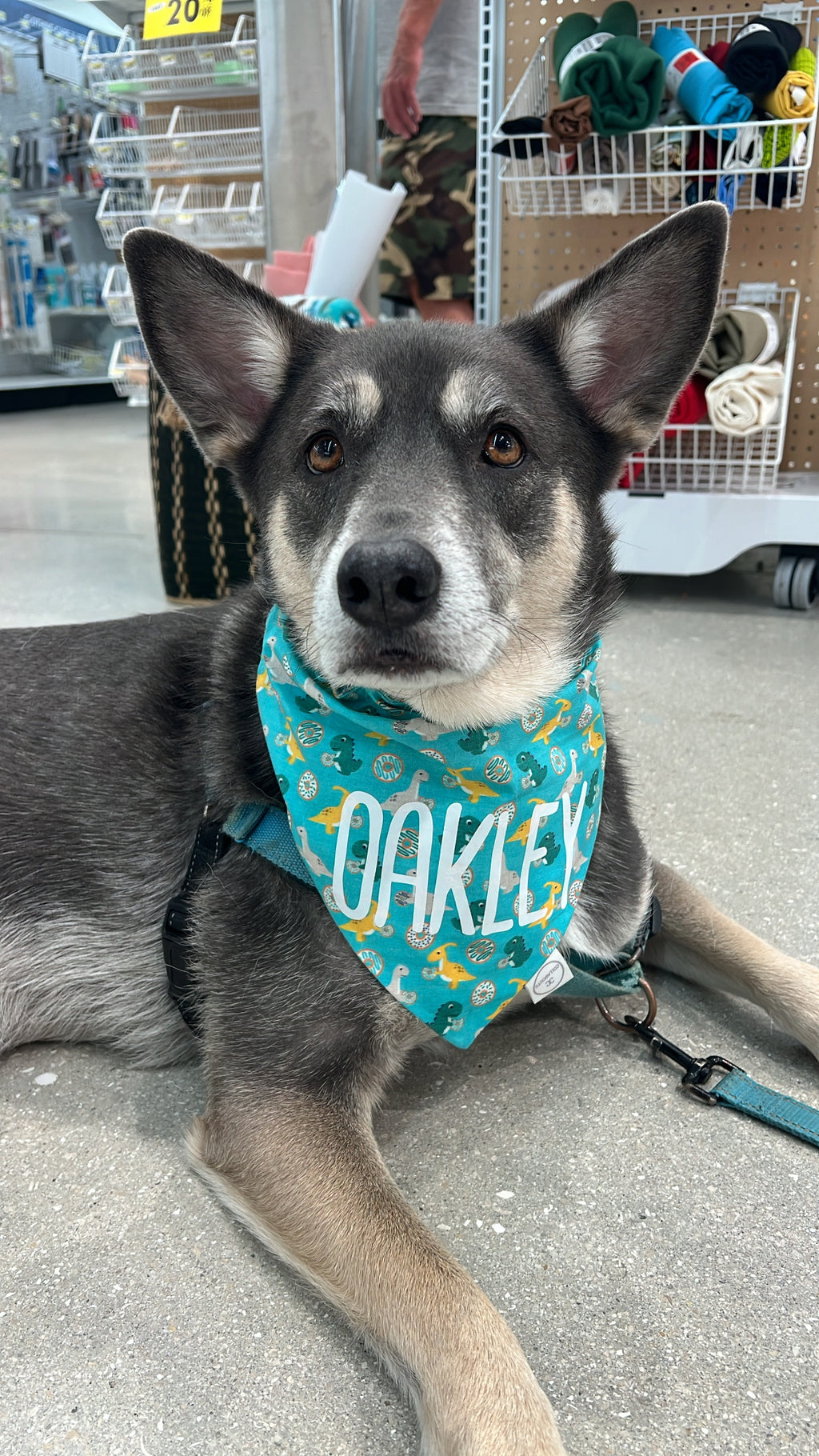 Dino Donuts Bandana