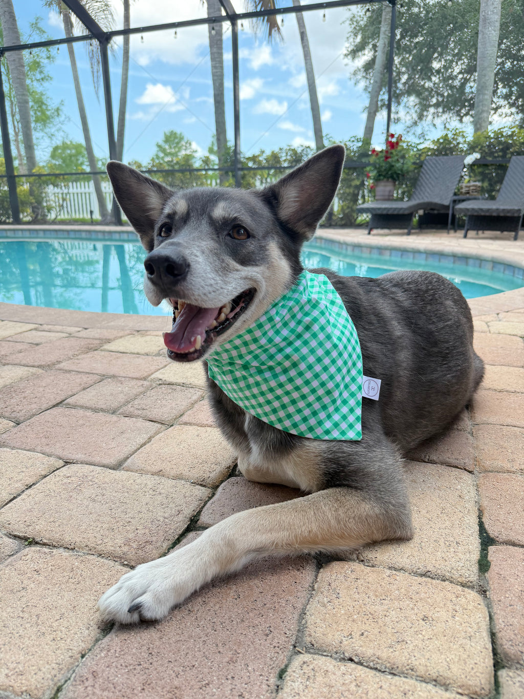 Classic Buffalo Check Bandana