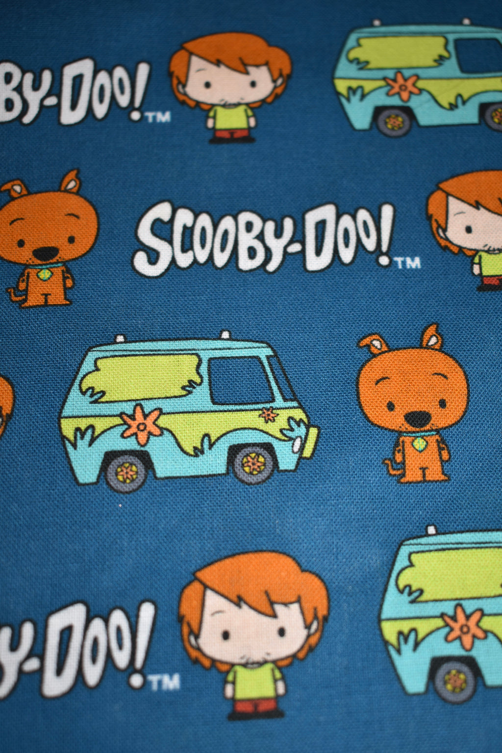 Mystery Team Bandana