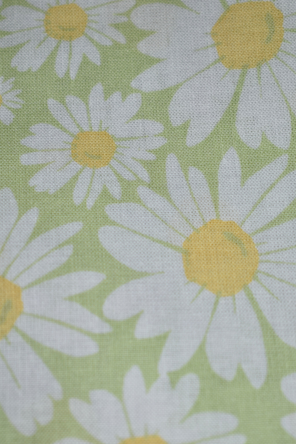 Green Daisies Bandana
