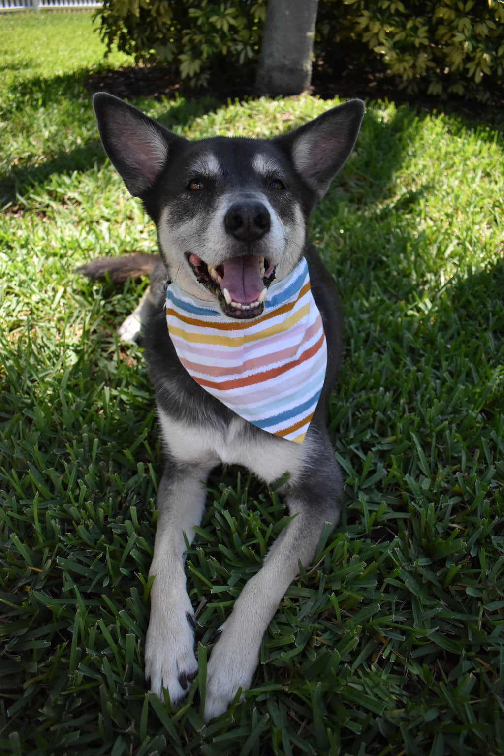 Watercolor Rainbow Stripes Bandana