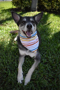 Watercolor Rainbow Stripes Bandana