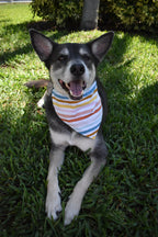 Watercolor Rainbow Stripes Bandana