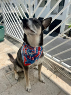 Tie Dye Bandana