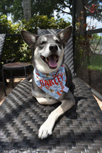 Summer Bones Bandana