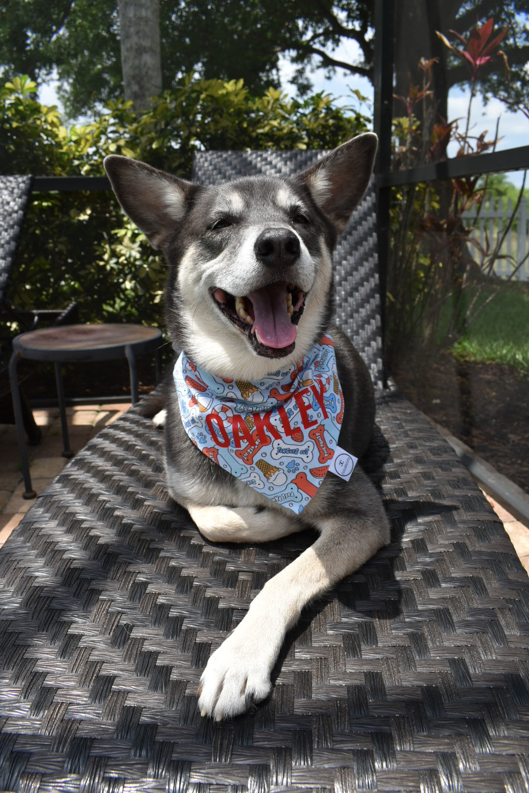 Summer Bones Bandana