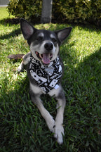 Card Games Bandana