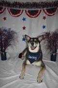 Navy Stars Bandana