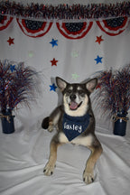 Navy Stars Bandana