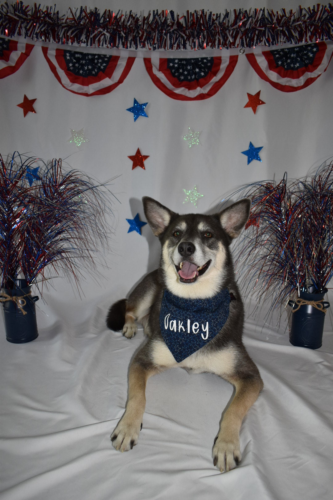 Navy Stars Bandana
