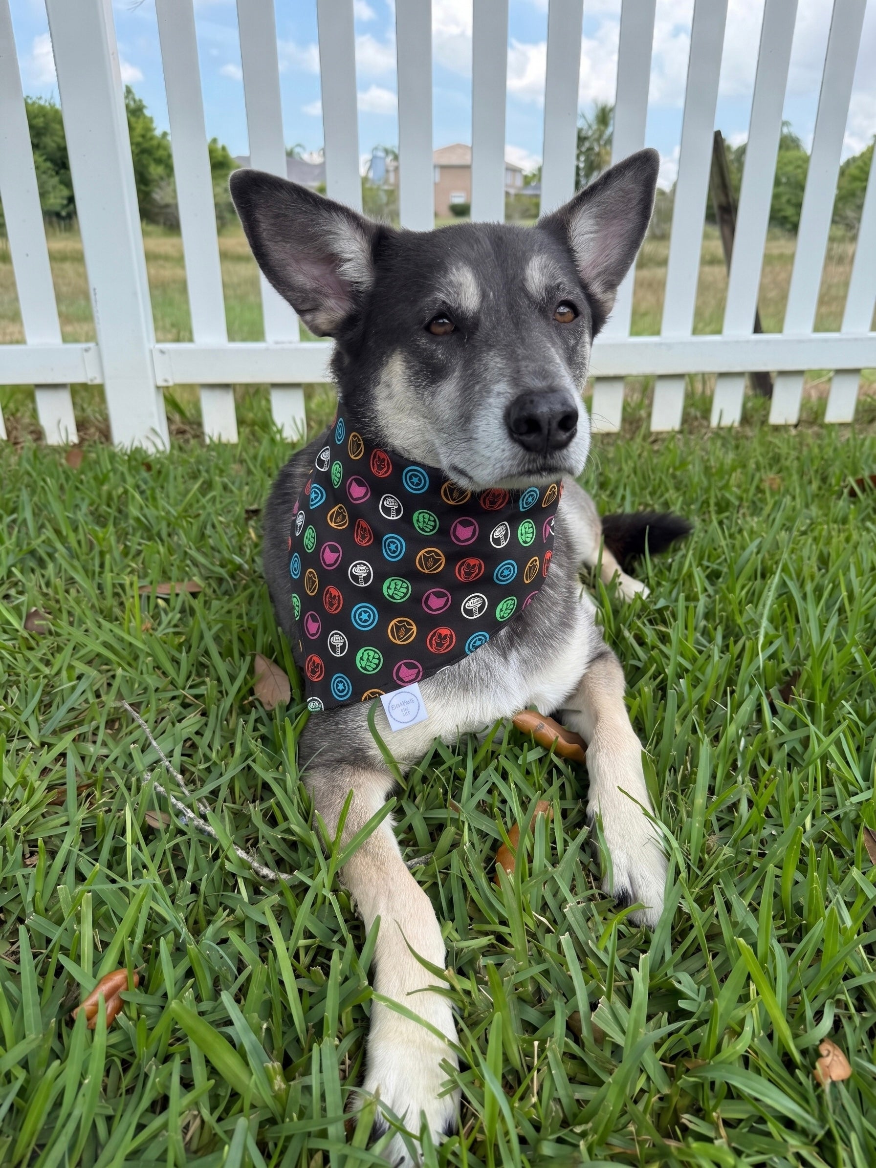 Neon Hero Logos Bandana