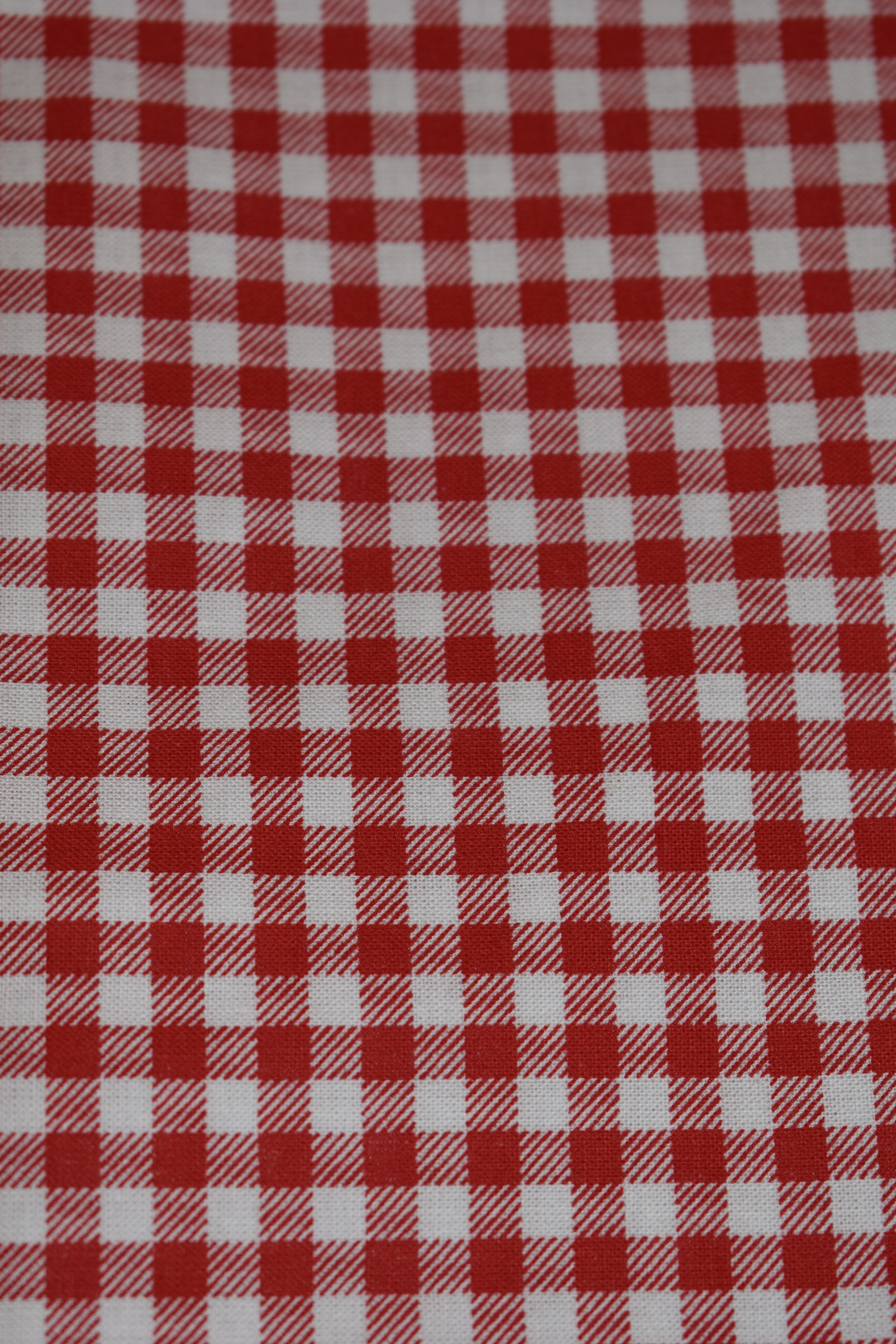 Shaded Buffalo Check Bandana