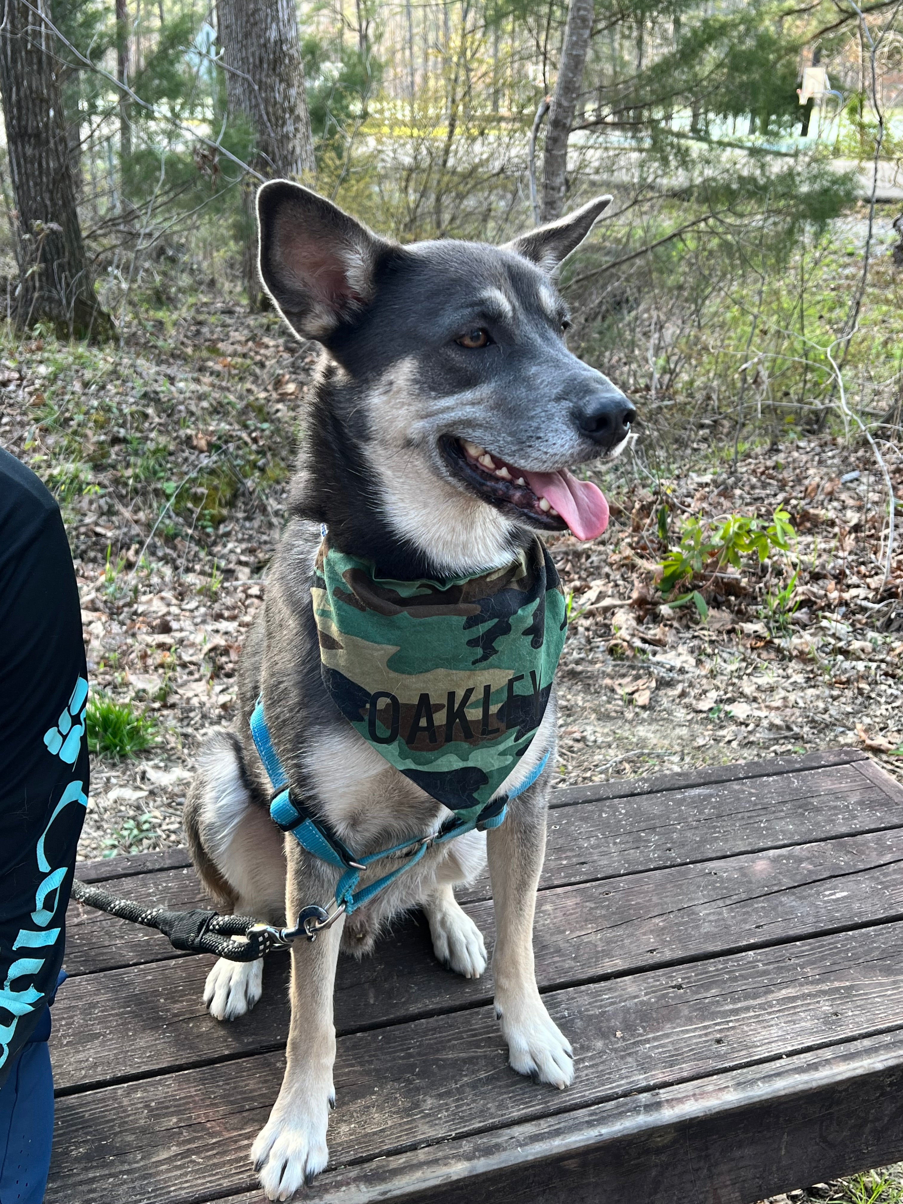 Camo Bandana