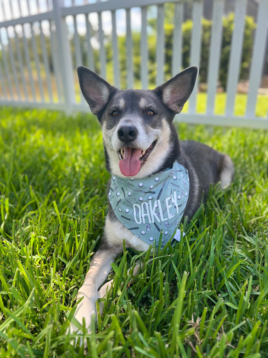 Golf Clubs Bandana