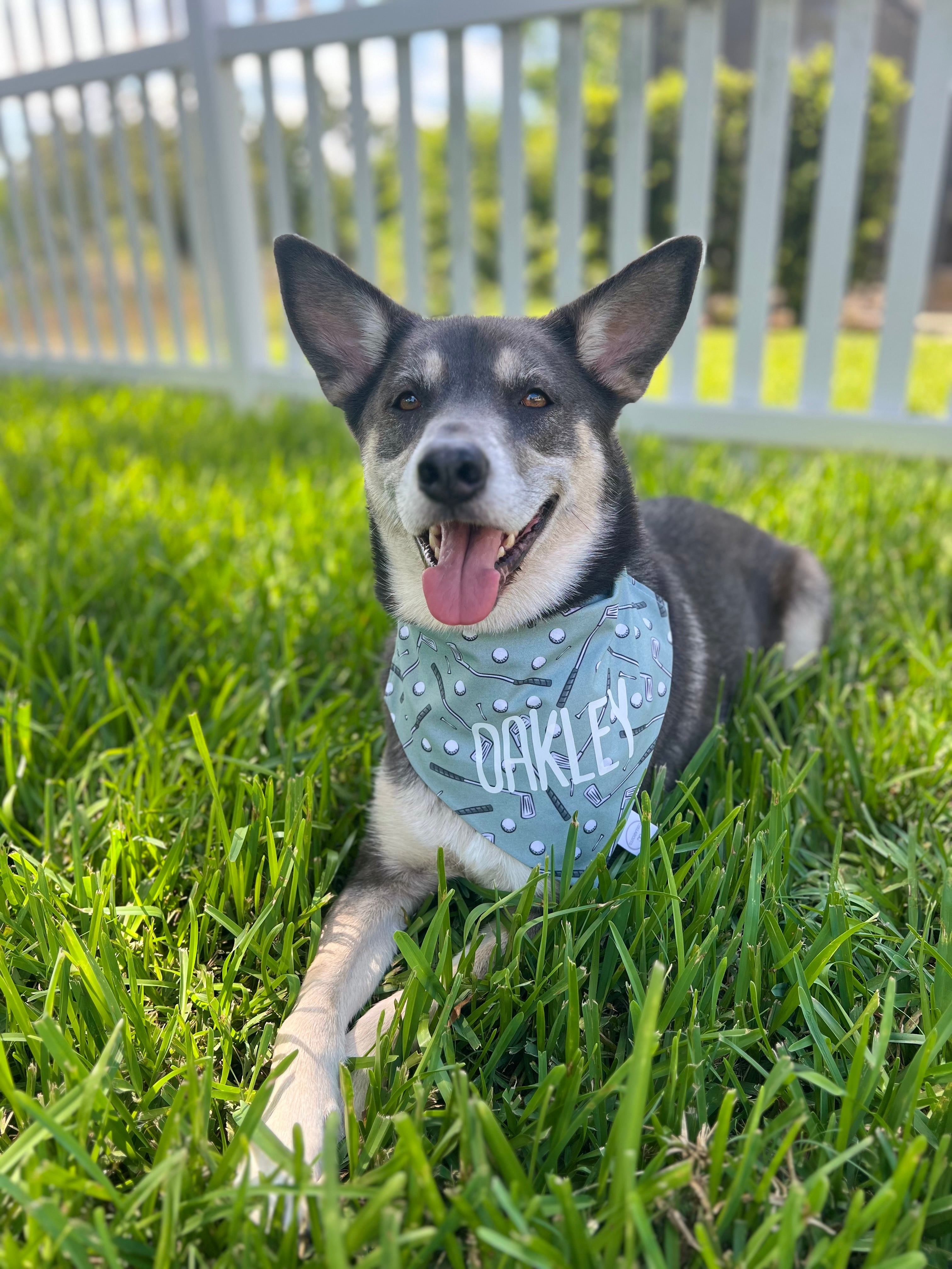 Golf Clubs Bandana