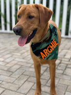 Camo Bandana