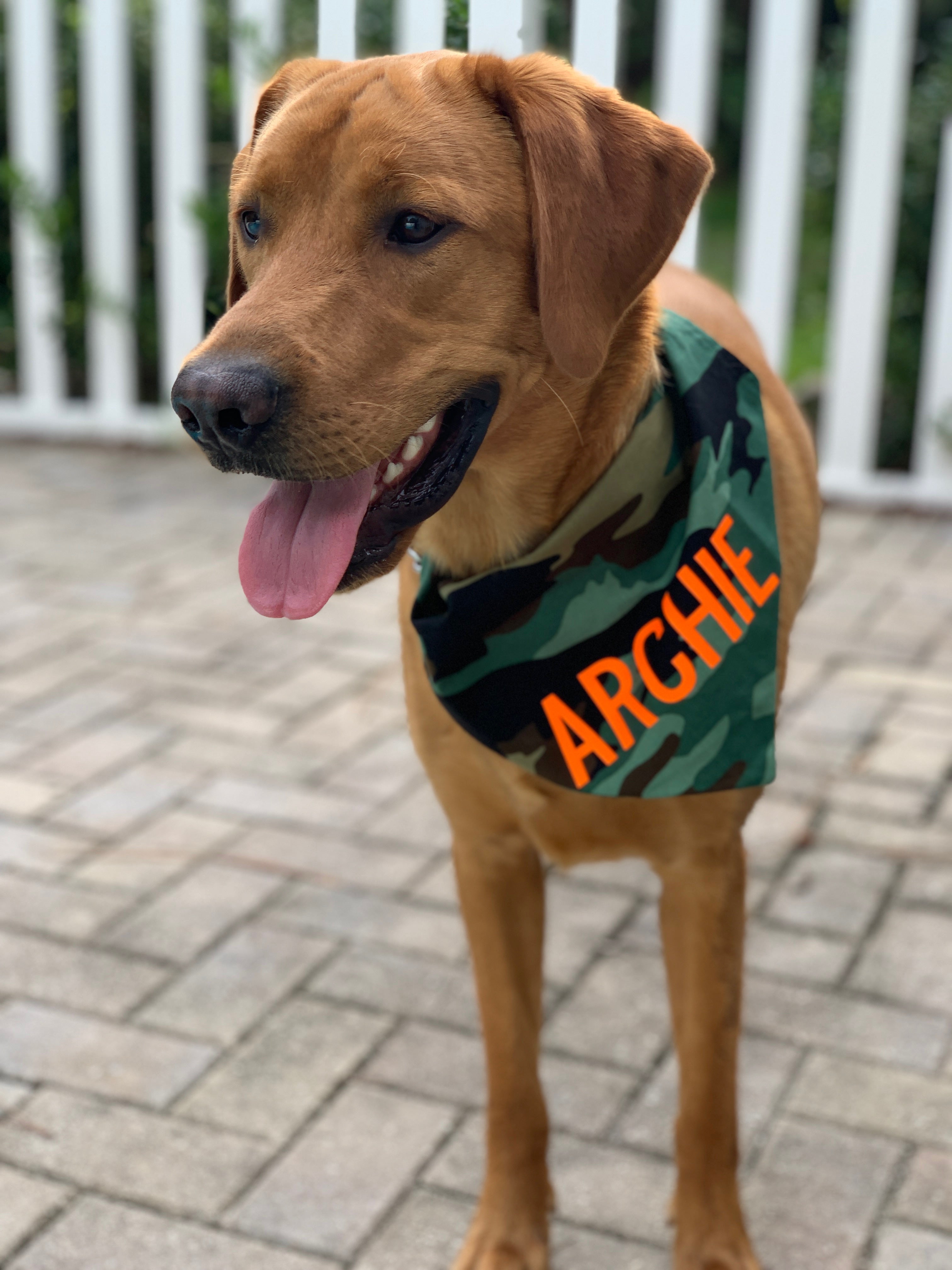 Camo Bandana