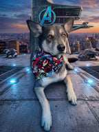 Superhero Bandana