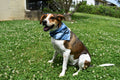 Ocean Stripes Bandana