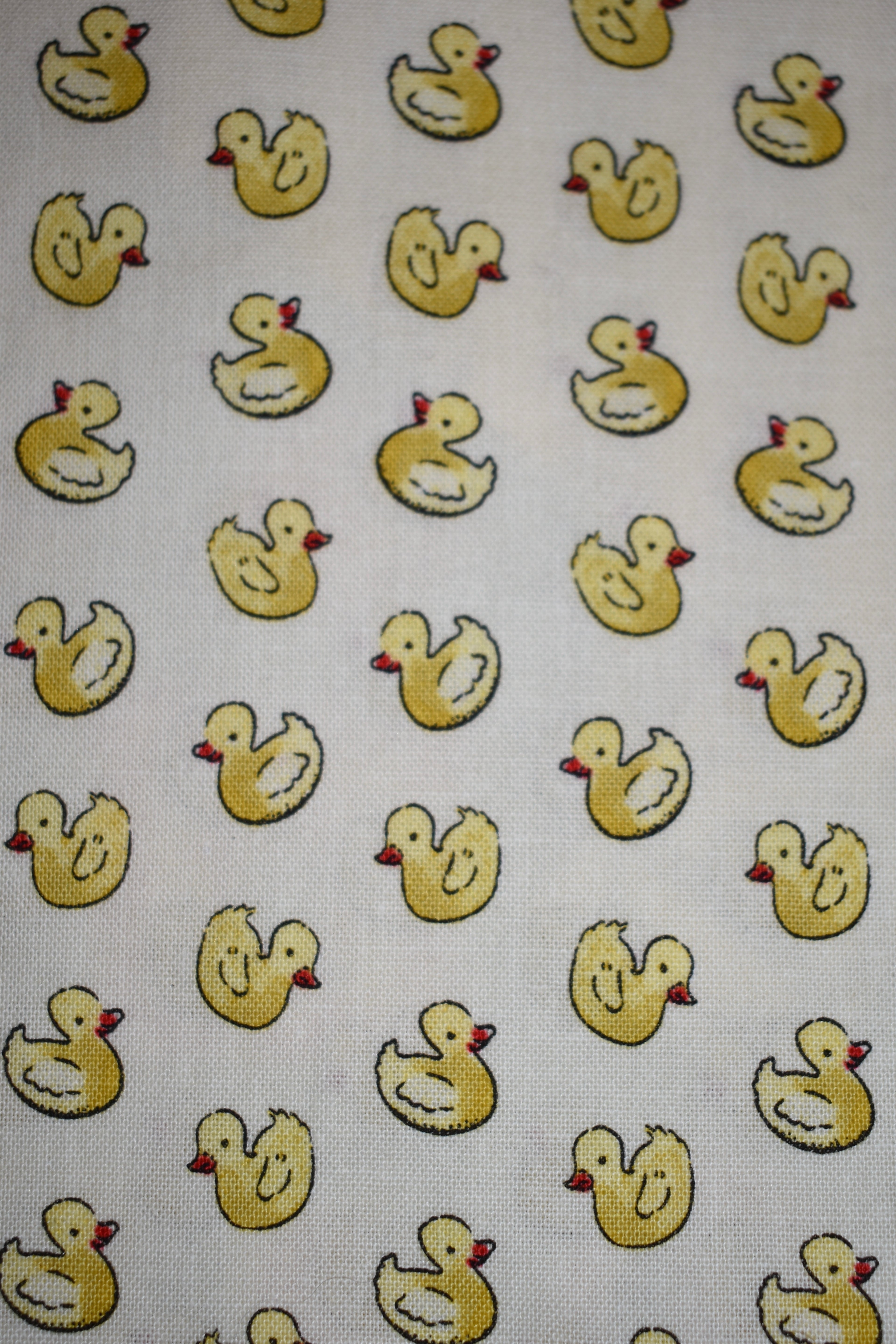 Rubber Ducks Bandana