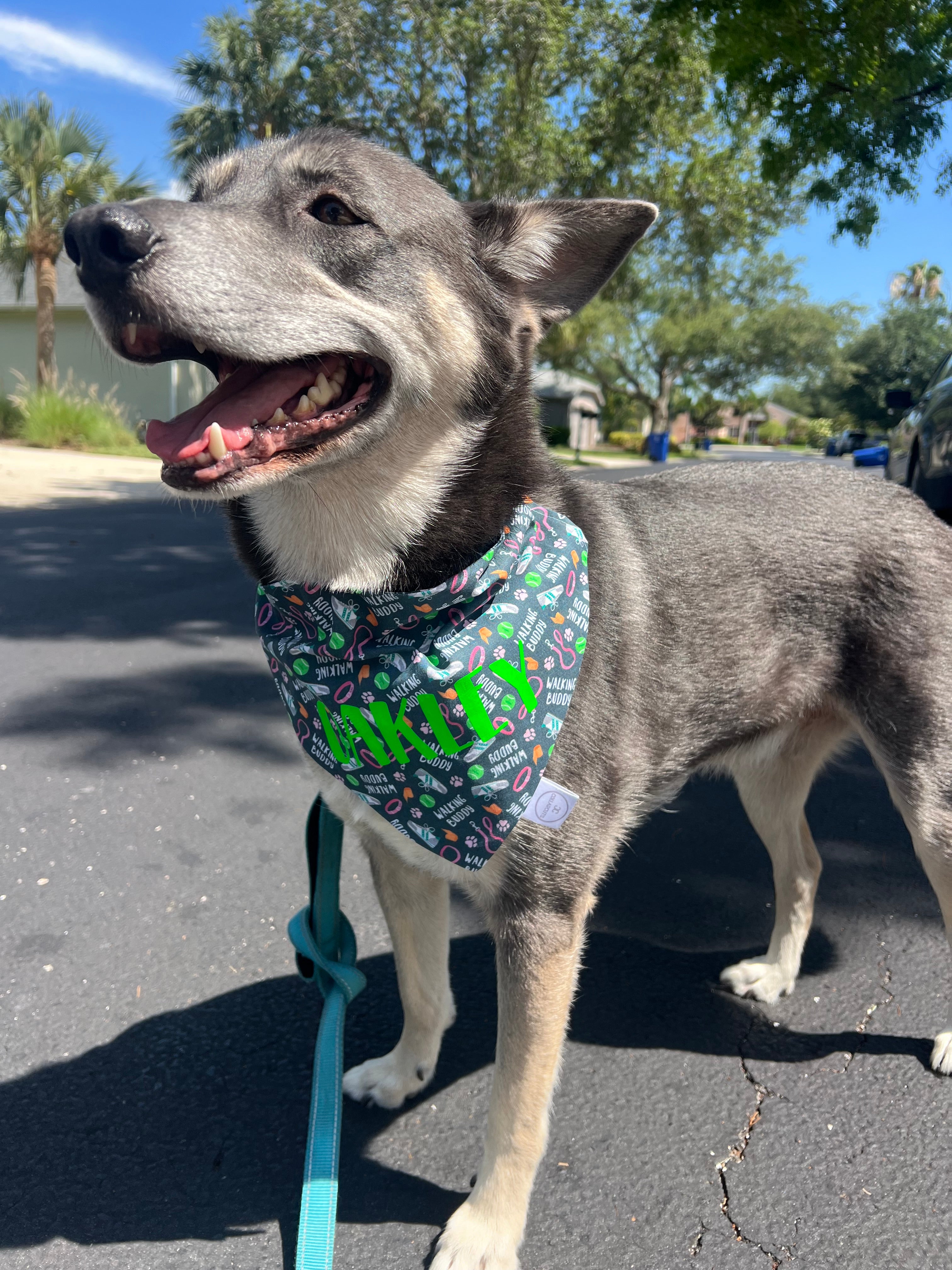 Walking Buddy Bandana