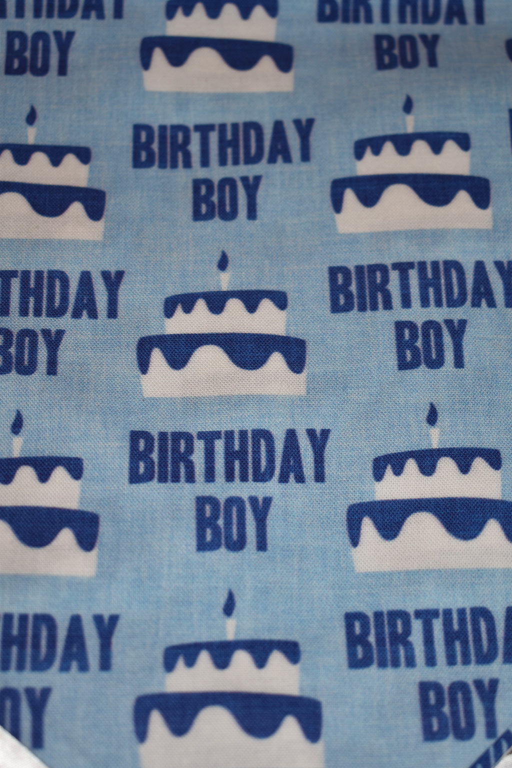 Birthday Boy Bandana