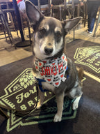 Heart Breaker Bandana