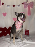 Bows and Kisses Bandana