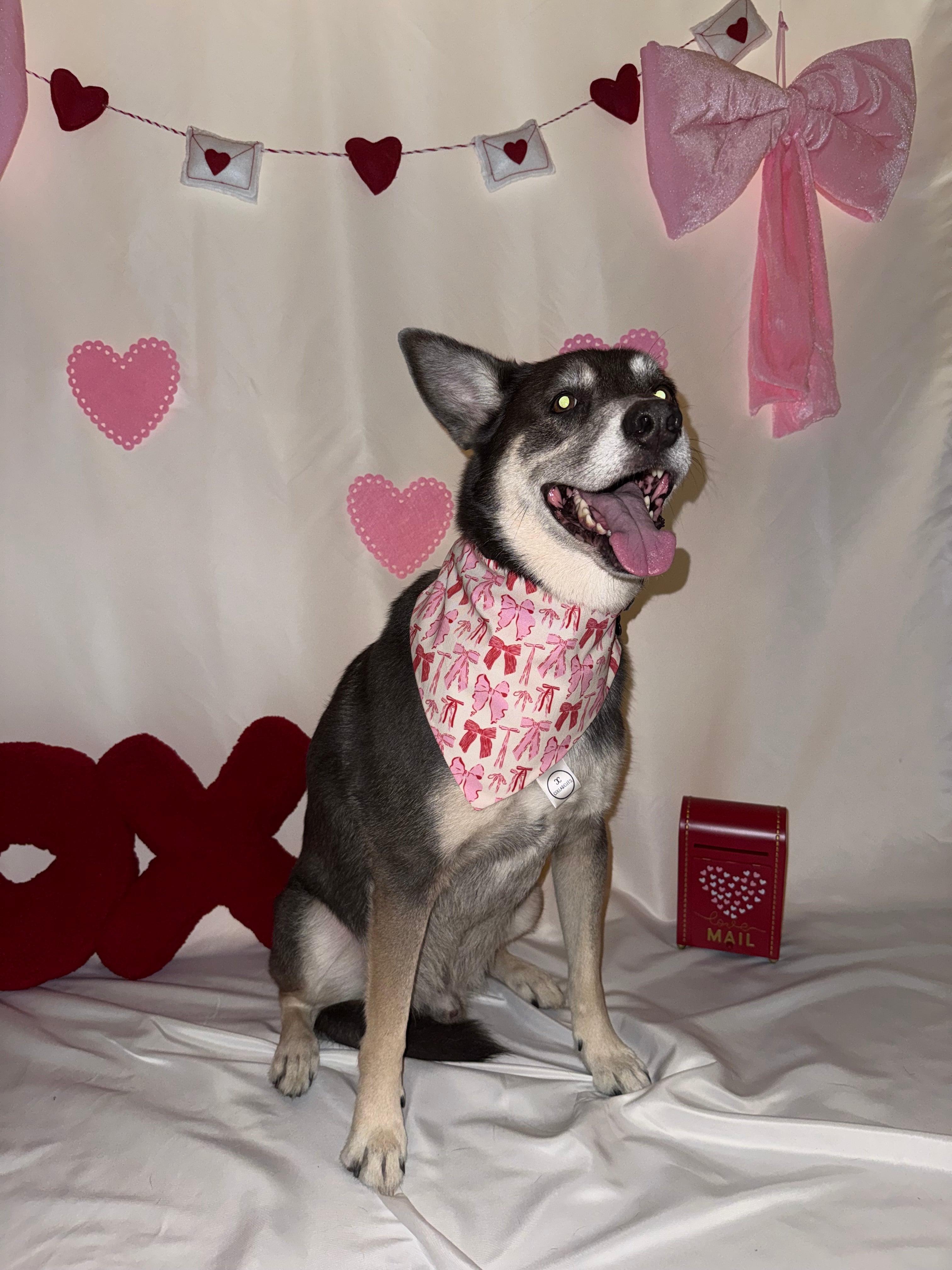 Bows and Kisses Bandana