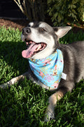 Bikini Bottom Bandana