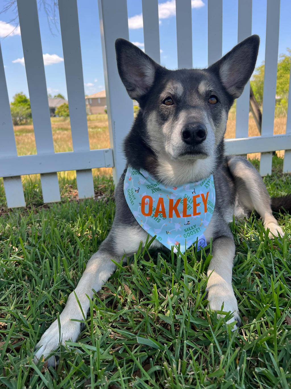 Silly Goose Bandana