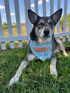 Silly Goose Bandana