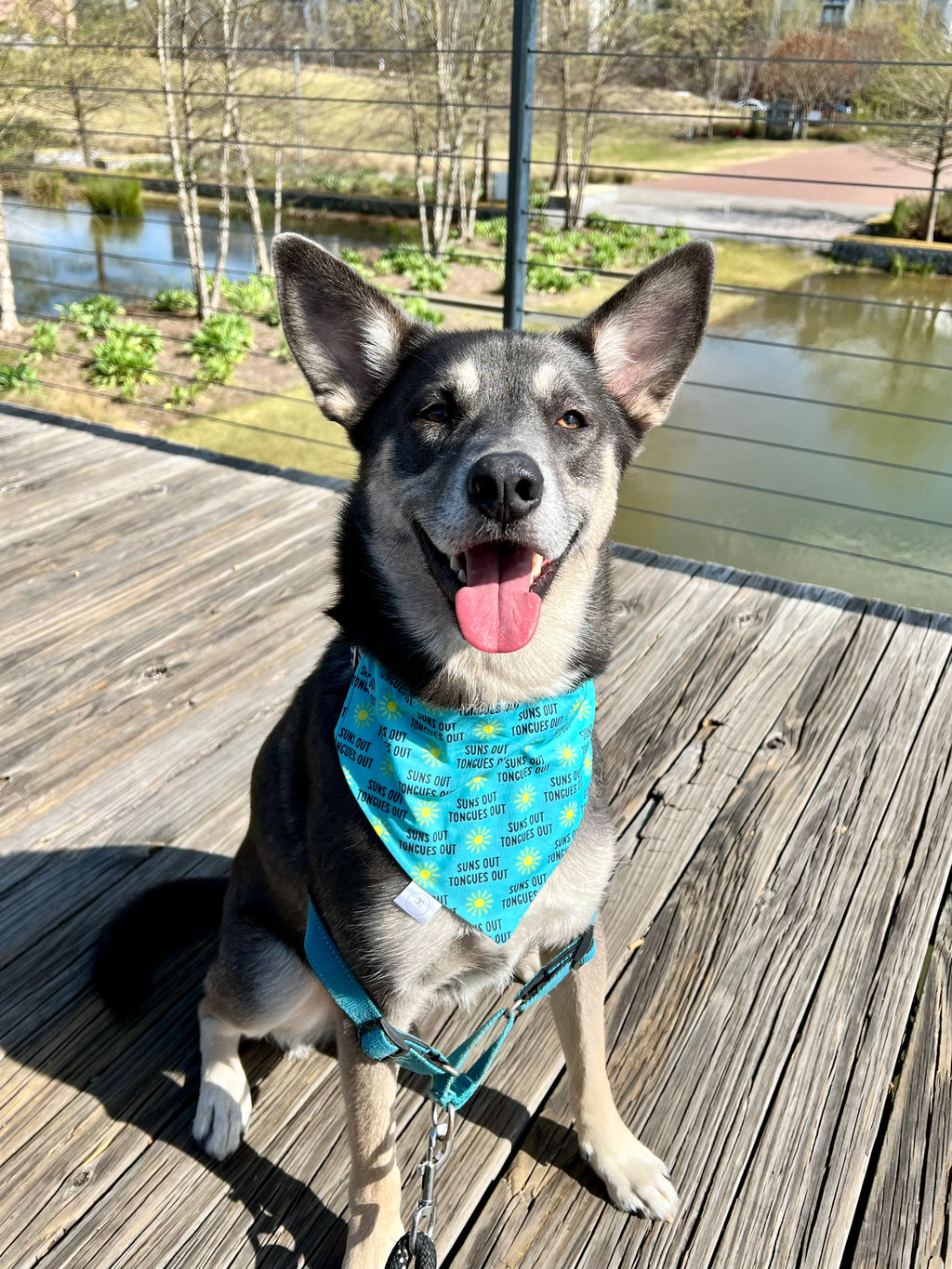 Suns Out Tongues Out Bandana
