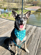 Suns Out Tongues Out Bandana