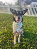 Pupcake Bandana