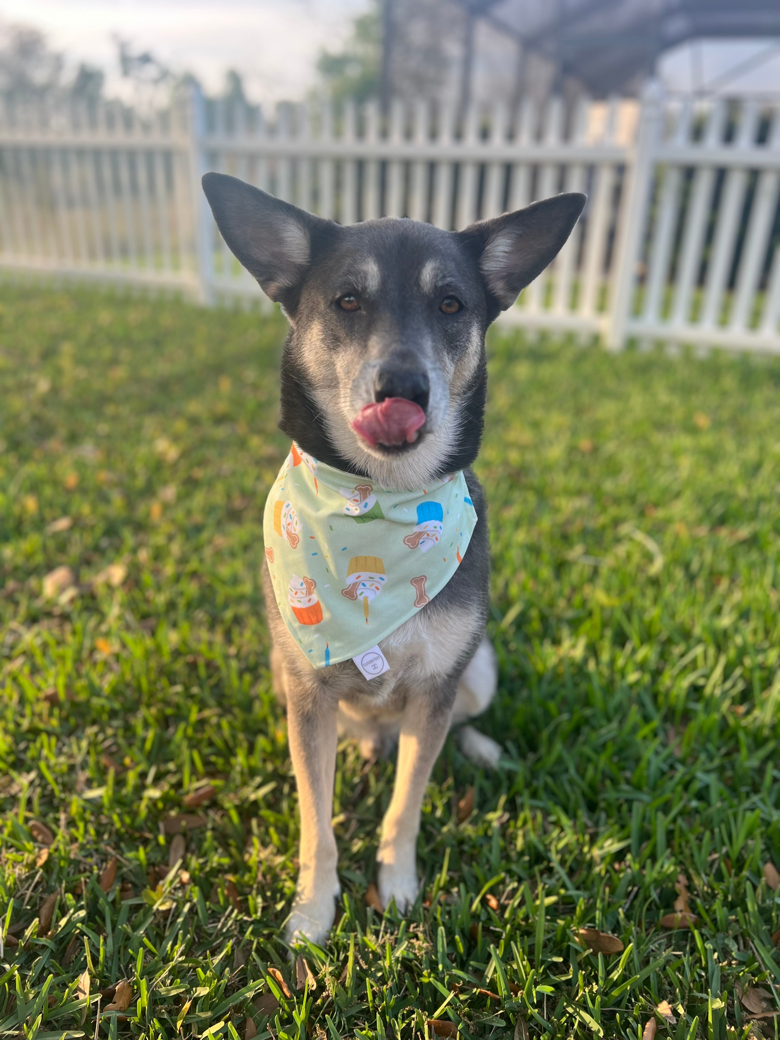 Pupcake Bandana