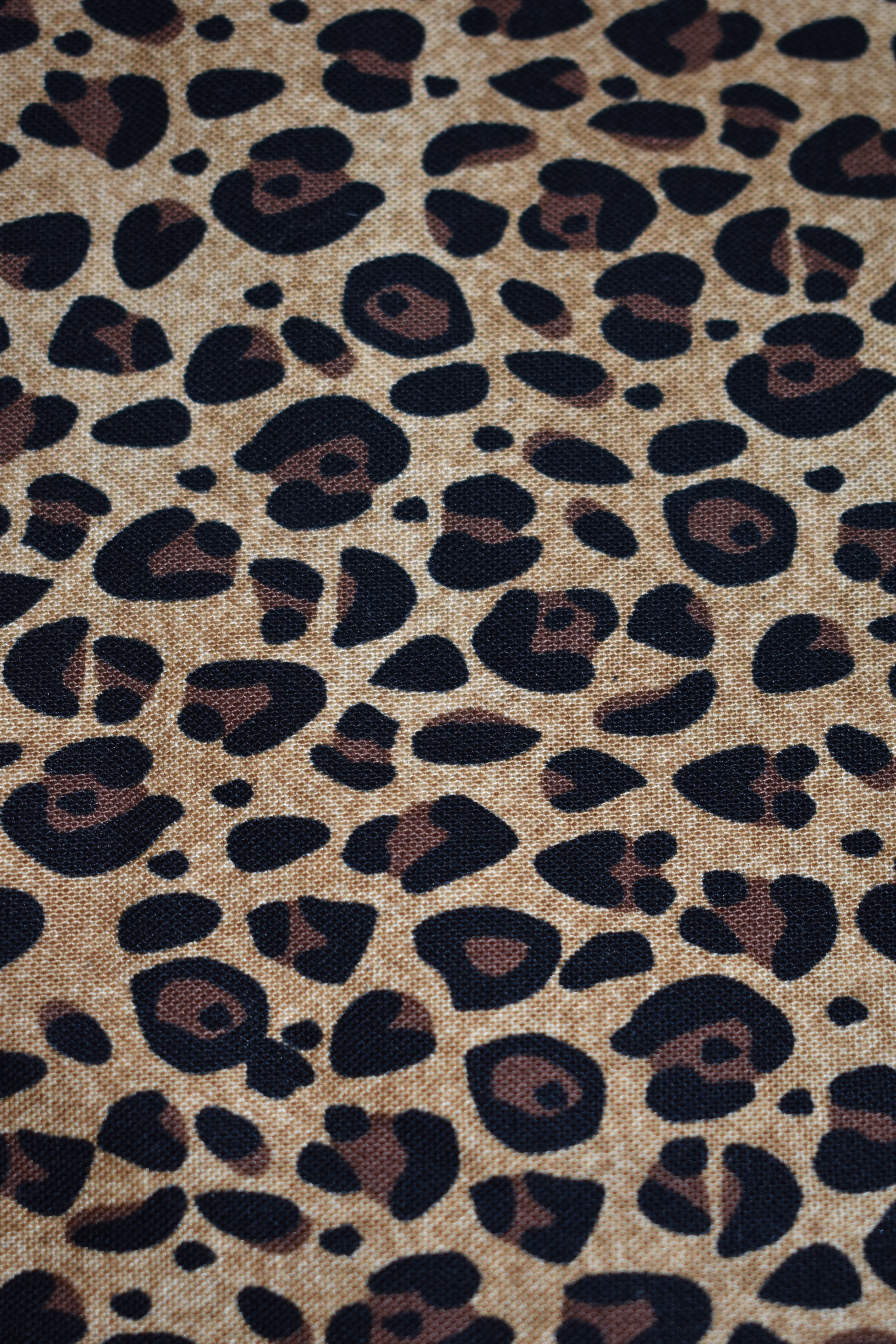 Cheetah Print Bandana