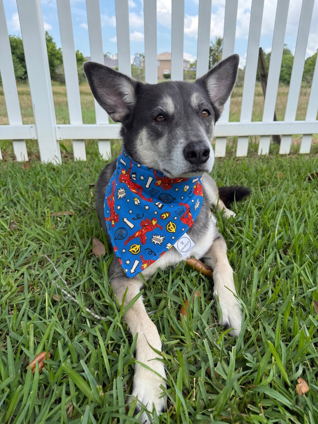 I Love You 3000 Bandana